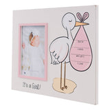 Stork It's A Girl Frame