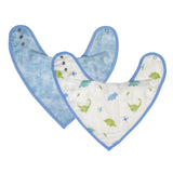 Dinosaur Bib Set